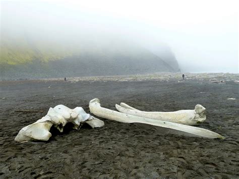 Jan mayen is an island between greenland and norway in the arctic ocean, administered by norway. Jan Mayen - 1 - KRUIZE