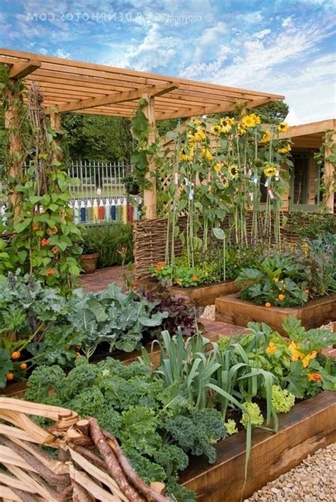 Home Gardening Ideas Images The Best Home Gardening Ideas For 2018 In