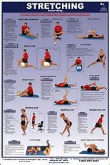 Golf Stretching Exercises For Seniors Pictures