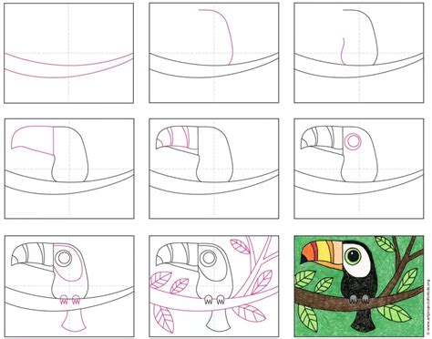 Easy How To Draw A Toucan Tutorial Video And Toucan Coloring Page