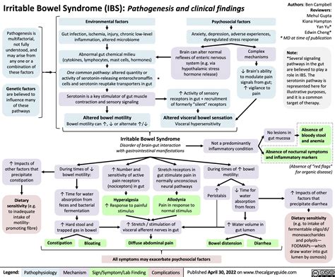 Irritable Bowel Syndrome Ibs Pathogenesis And Clinical Findings