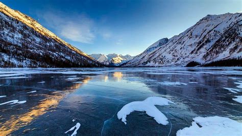 5 Frigid Facts About The Taiga The Worlds Largest Terrestrial Biome