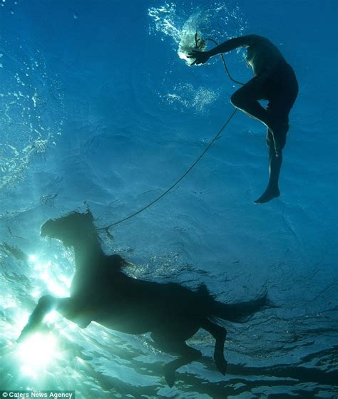 Stunning Underwater Photos Show Horses Stretching Their Legs Daily
