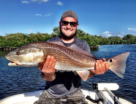 Redfish Reel Florida Fishing Charters