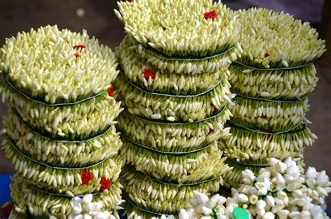 Madurai Jasmine Flower At Best Price In Chennai Rkr Exports