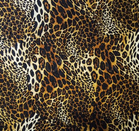 Leopard Skin Seamless Background Stock Photo Colourbox