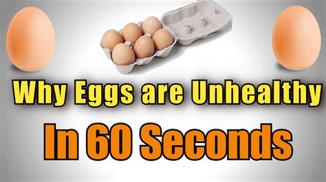 Why Eggs Are Bad For You In 60 Seconds Youtube