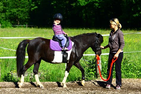 Jahanje konjev - kdaj in kako začeti z jahanjem za otroke