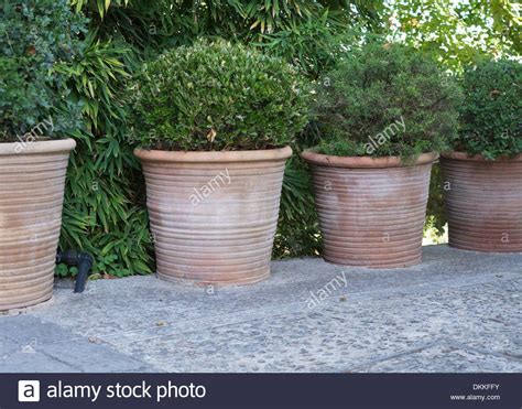 Pin by Corine Reymond on Outdoor | Large terracotta planters, Large terracotta pots, Terracotta ...