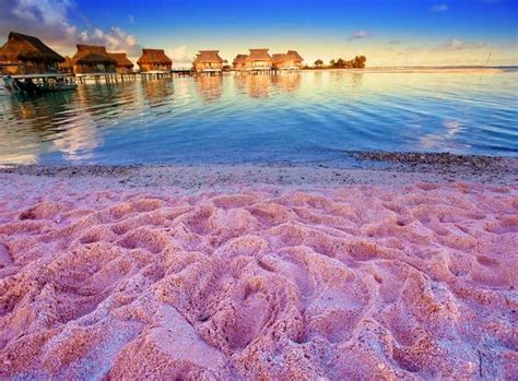 Bermuda Pink Sand Beach Bahamas Best Honeymoon Destinations Colored
