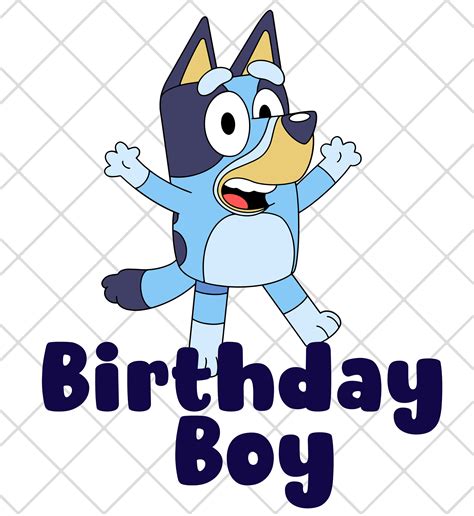 Bluey Birthday Girlboy Shirt Kidstoddler Baby Etsy
