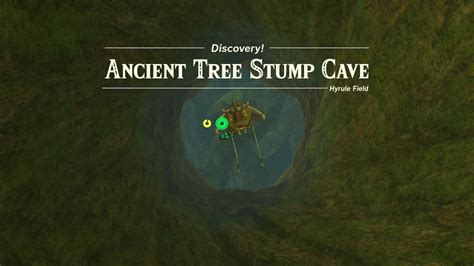 Ancient Tree Stump Cave The Legend Of Zelda Tears Of The Kingdom