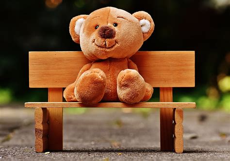 Bench Teddy Bears Nature Outdoors Road 1080p 2k 4k 5k Hd Wallpapers