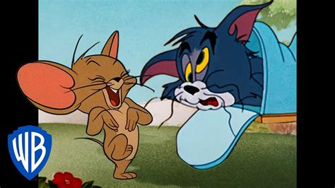 Tom Jerry Images Infoupdate Org