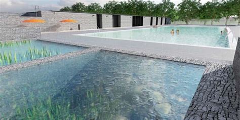 Canadas First Public Natural Swimming Pool To Open In Edmonton Pool