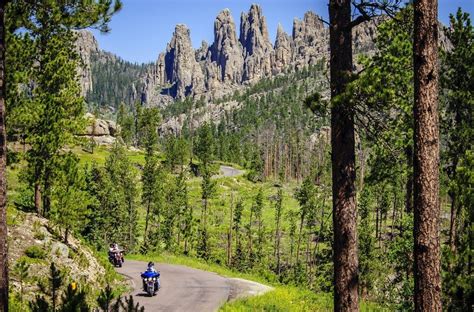 Best Wildlife Viewing Custer State Park Resort Scenic Byway Scenic