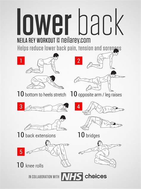 Rotate head to the same side. Lower Back Muscles List : A List of 6 Best Low Back Pain Exercises for Fast Relief - The veins ...