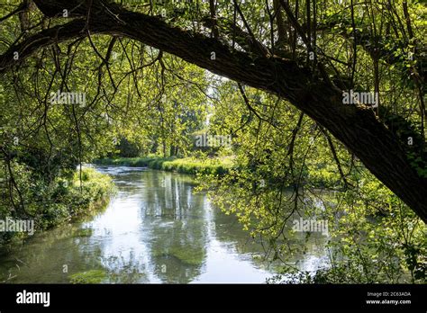 Fishing River Itchen Hi Res Stock Photography And Images Alamy