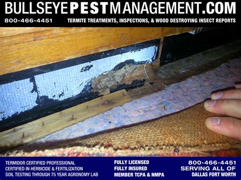 Answer a few questions about your home. Termite Treatments | Bullseye Pest Management