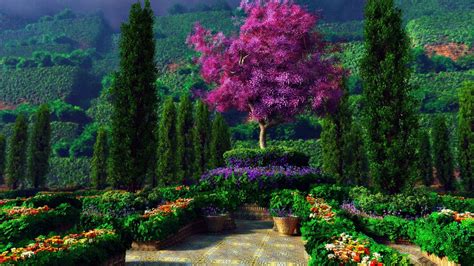 Beautiful Garden Hd Wallpaper 1920 × 1080 Wallpaper