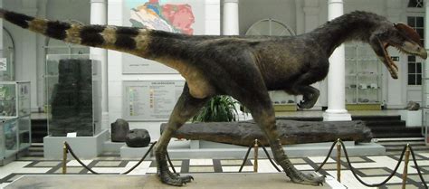 Dilophosaurus Apex Predators Wiki Fandom Powered By Wikia