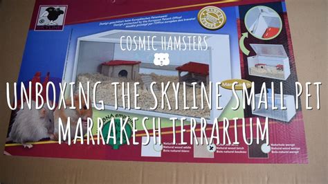 Unboxing The Skyline Marrakesh Terrarium Cosmic Hamsters Youtube