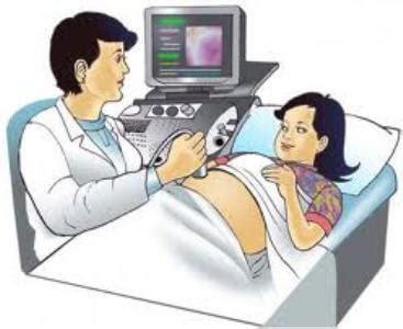 Gambar lucu kartun ibu hamil tulisan lucu. Tips Menjaga Kesehatan Ibu Hamil Selama Kehamilan