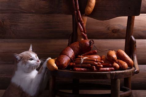 Clarifying Can Cats Eat Sausages With Risks Explained