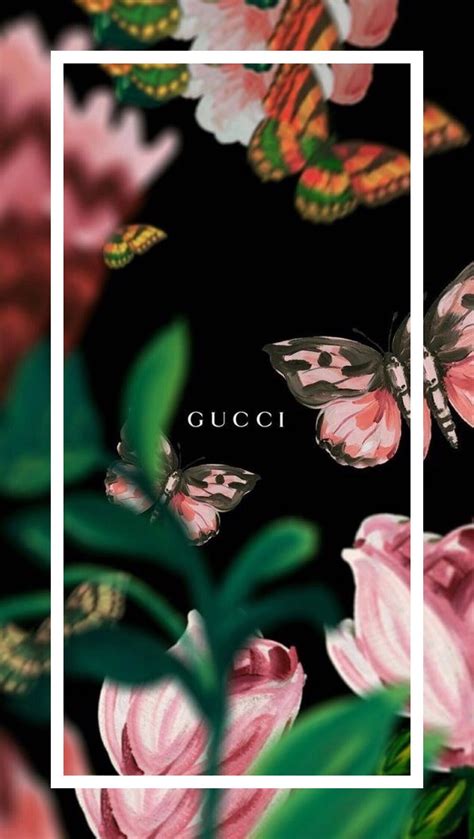 Gucci Butterfly Wallpapers Top Free Gucci Butterfly Backgrounds