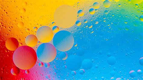 Colorful Circles Multicolor Bubbles Water Bubble Circle Liquid