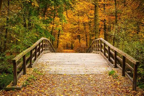 Bridge In Autumn Forest Stock Image Image Of Fall Path 32916519