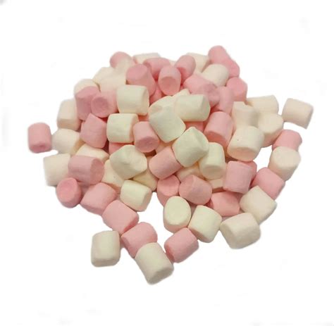 Blizz Mini Marshmallows Pink And White Martin Food Equipment