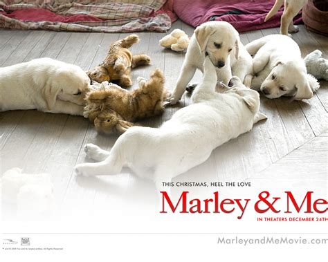 See more of marley & me on facebook. MARLEY AND ME THE PUPPY (2011) DVD RIP ~ MUVY MANIA