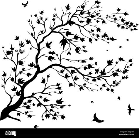 Tree Branch Without Leaves Silhouettes Vectortree Branches Silhouette