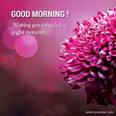 Good Morning Pink Flower Pictures Photos And Images For Facebook