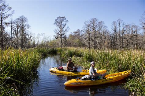 Benefits Of Kayaking New Orleans Kayak Swamp Tours