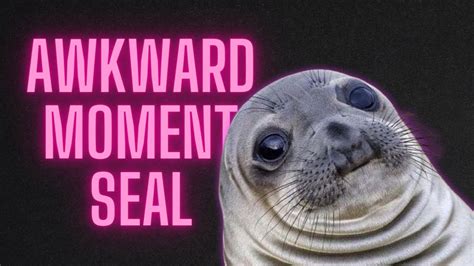 Awkward Moment Seal Meme Compilation Youtube