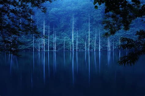 Hd Wallpaper Forest Slope Lake Green Trees Fog Night Wallpaper