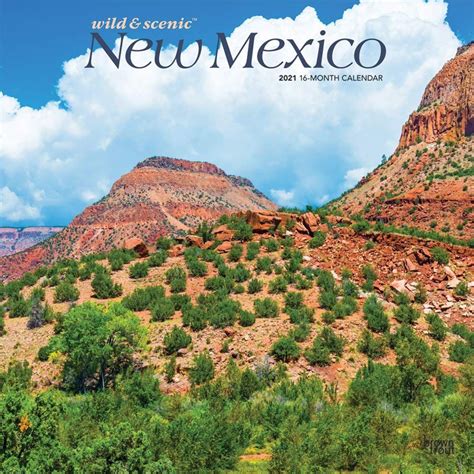 New Mexico Wild And Scenic 2021 Wall Calendar Scenic New Mexico