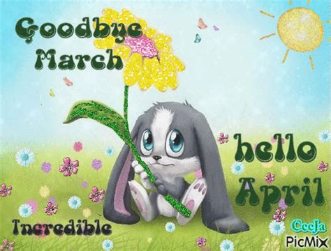 Adorable Bunny Goodbye March Pictures Photos And Images For Facebook