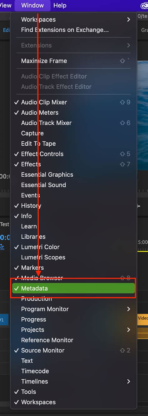 5 Tips To Organize Projects And Clips In Adobe Premiere Pro