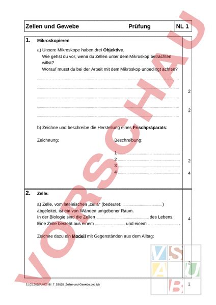 Ab europa ist hier zu hause. Arbeitsblatt: Zellen und Gewebe - Biologie - Zellbiologie ...