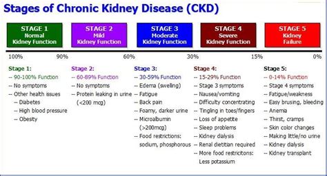 • learn how kidney disease affects blood sugar and diabetes management. Pin on study