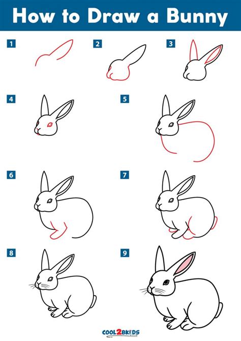 How To Draw A Bunny Step By Step Bunny Face Draw Drawing Easy Kids