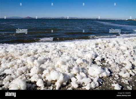 Pollution Of The Sea Mar Menor Murcia Spain Stock Photo Alamy