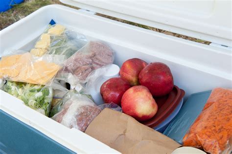 Are they better than an air conditioner? The 8 Best Ice Packs for Coolers in 2020