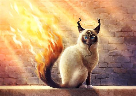 Big eyes art fantasy art light art dark art eye art art deviantart fairy art digital artist. Magic cat with a fiery tail, fantasy wallpapers and images - wallpapers, pictures, photos