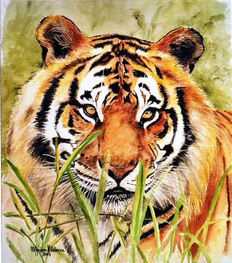 Tigre Aquarelle Tigre De Java Tigre De Bali Felino