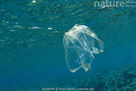 Stock Photo Of Plastic Bag Floating In The Ocean Lesser Sunda Islands