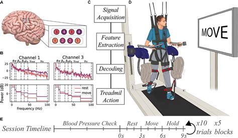 Frontiers Brain Computer Interface Control Of Stepping From Invasive